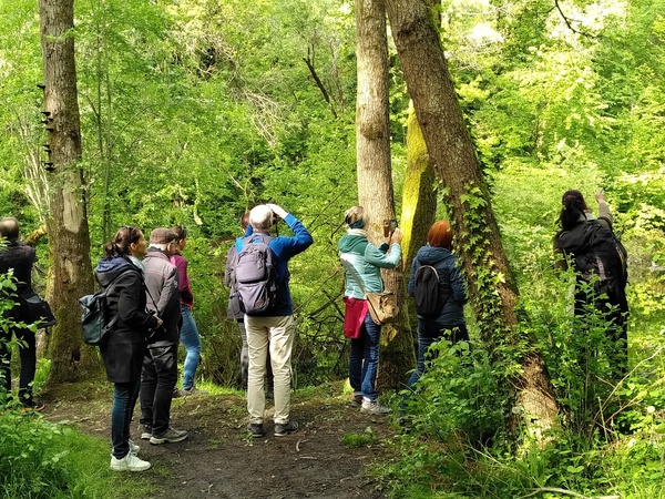 Fotorechte: Elfriede-Maria Reininger