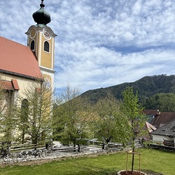 Pfarre St. Gallen / Ulrich Diel Die Firma Leitner hat mitten in unseren Pfarrgarten eine Linde gesetzt.